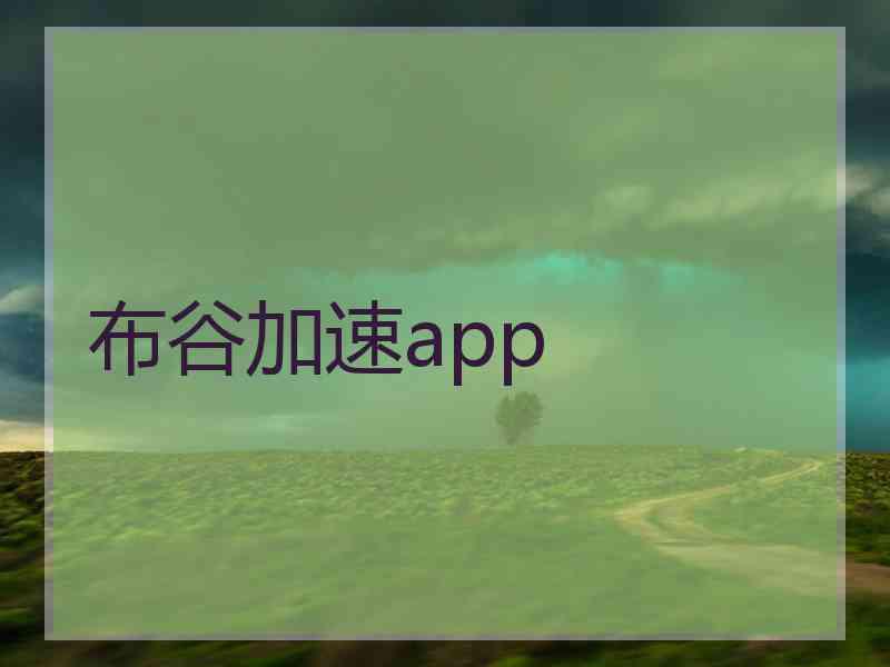 布谷加速app