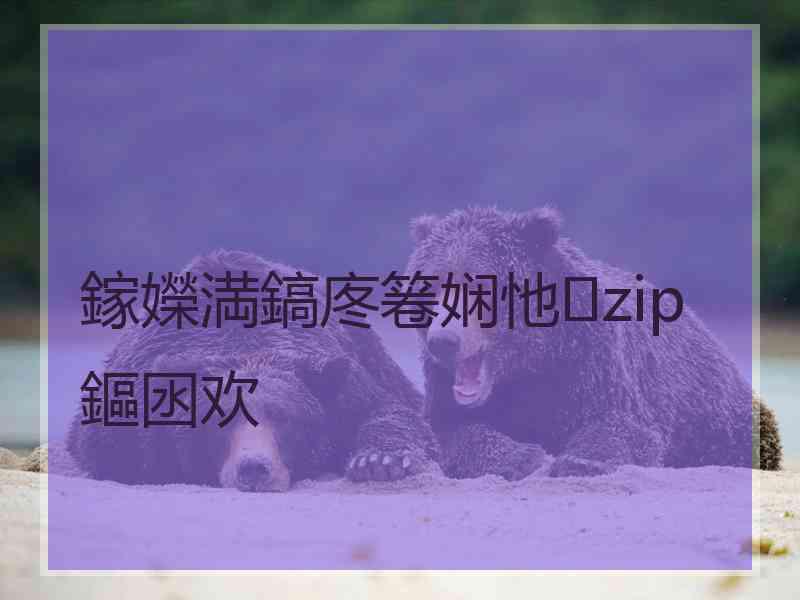 鎵嬫満鎬庝箞娴忚zip鏂囦欢