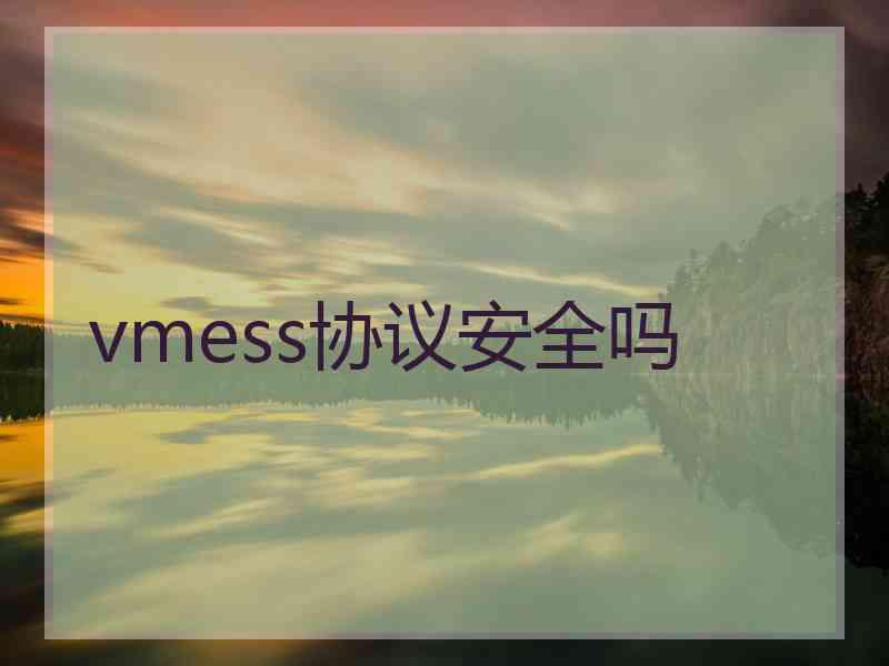 vmess协议安全吗