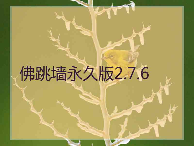 佛跳墙永久版2.7.6