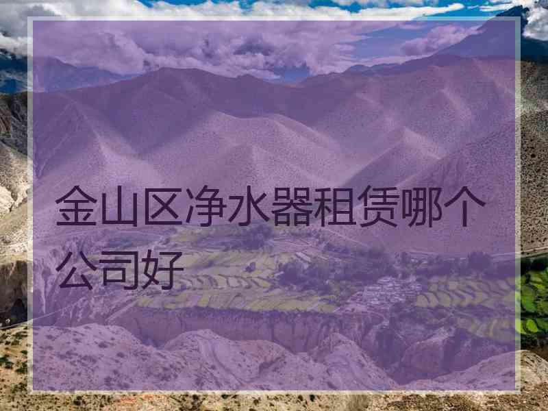 金山区净水器租赁哪个公司好