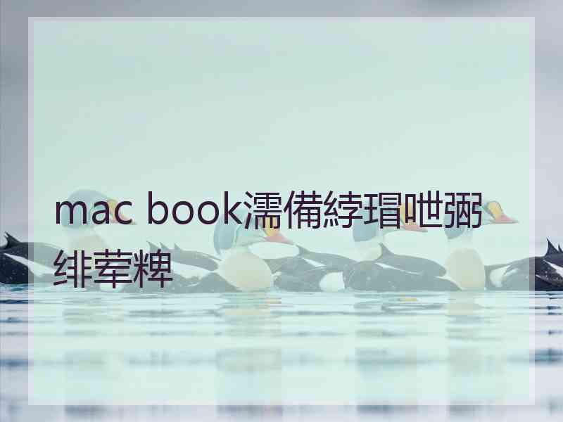 mac book濡備綍瑁呭弻绯荤粺