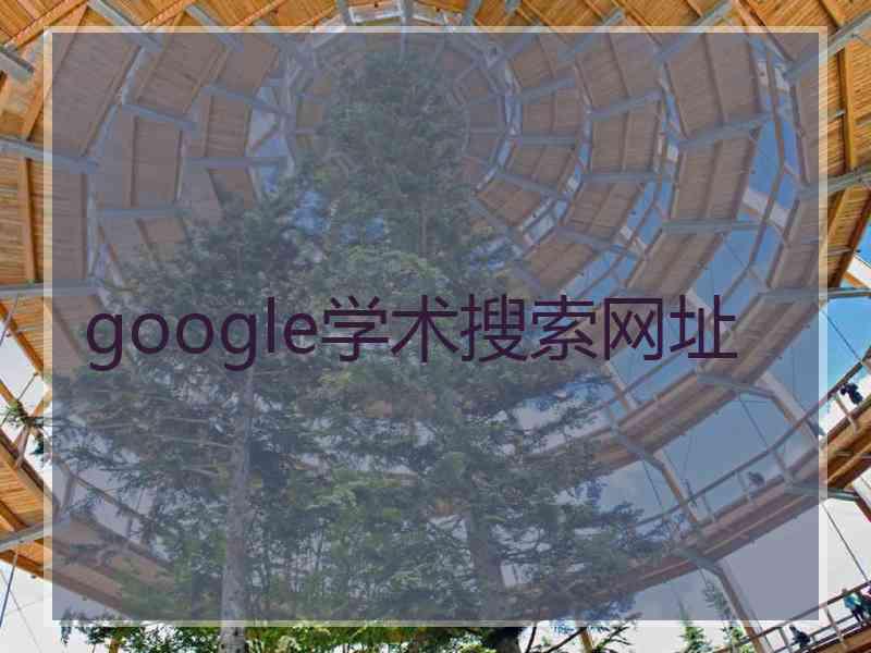 google学术搜索网址