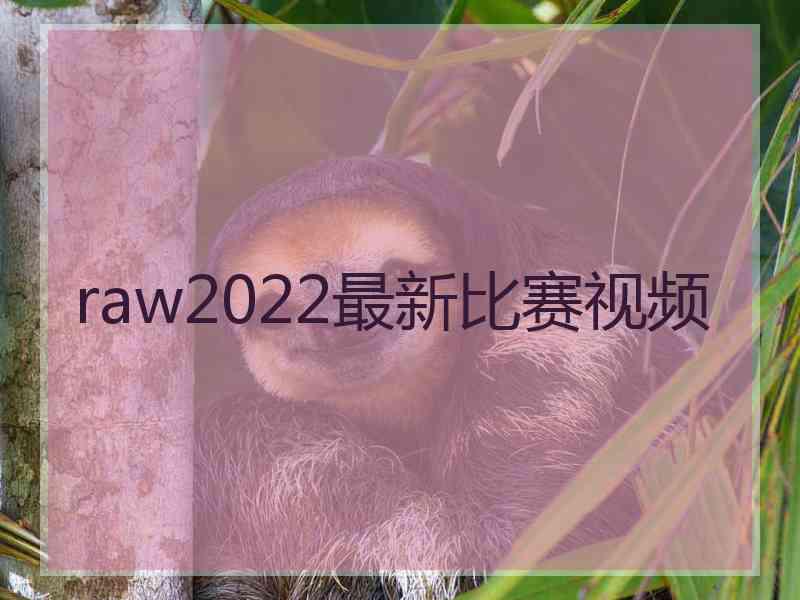 raw2022最新比赛视频