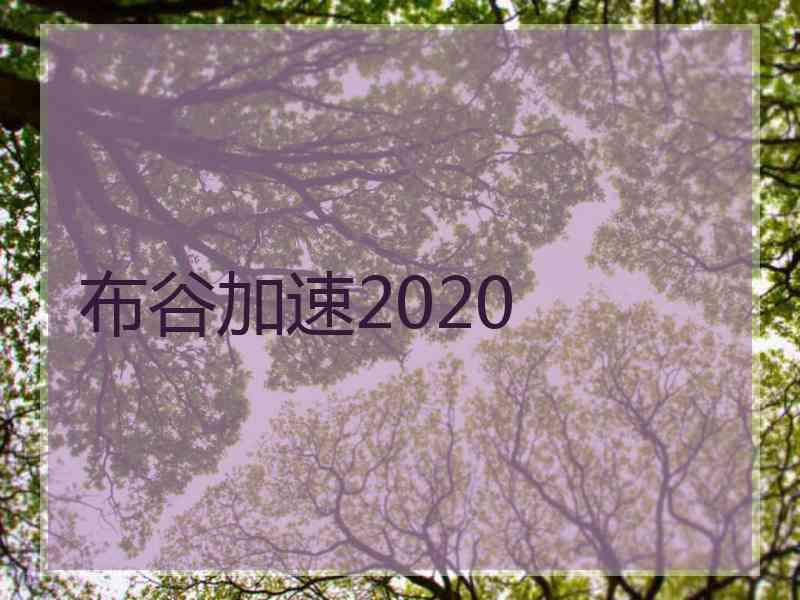 布谷加速2020