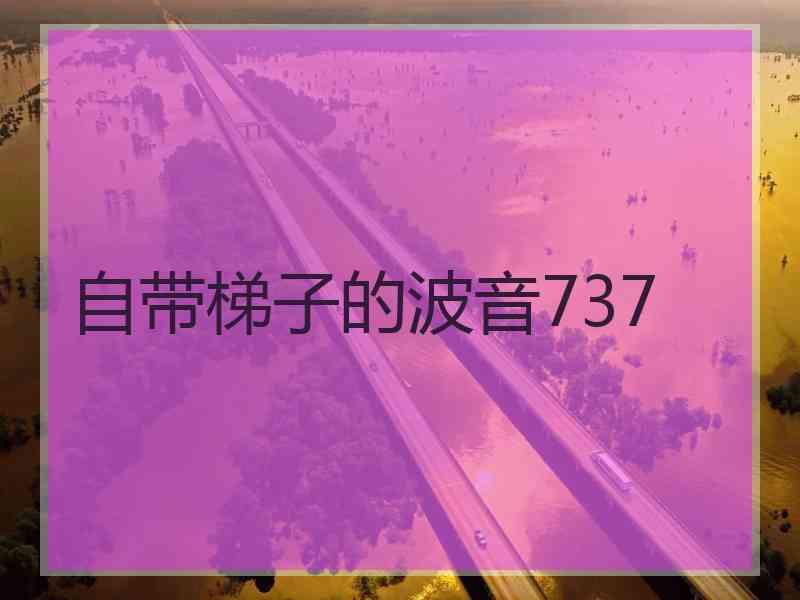 自带梯子的波音737