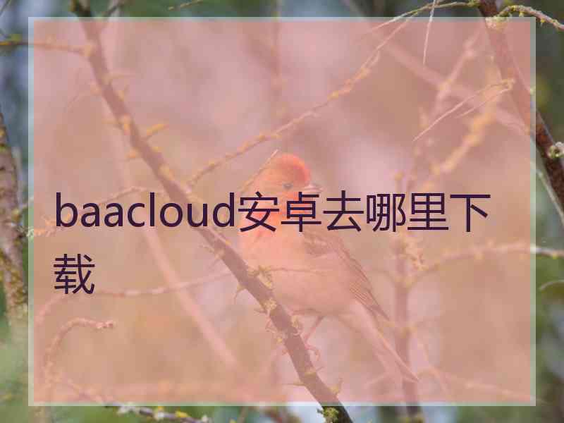 baacloud安卓去哪里下载