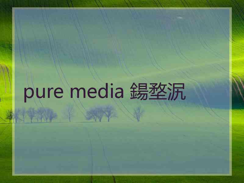 pure media 鍚堥泦