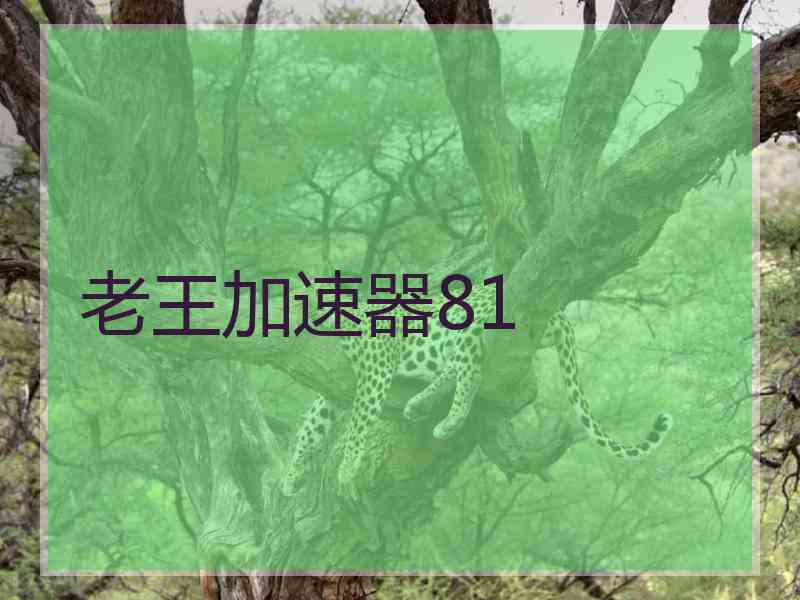 老王加速器81