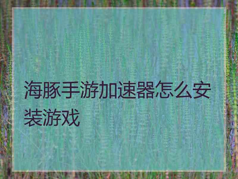 海豚手游加速器怎么安装游戏