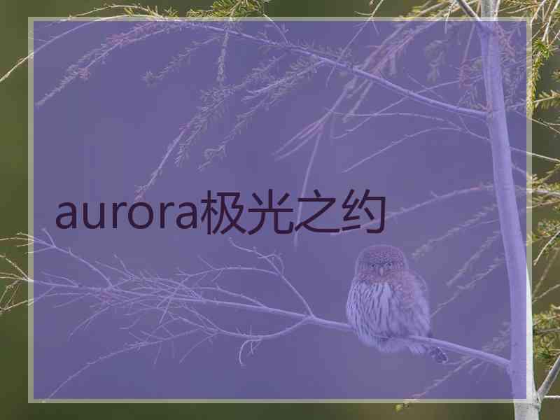 aurora极光之约