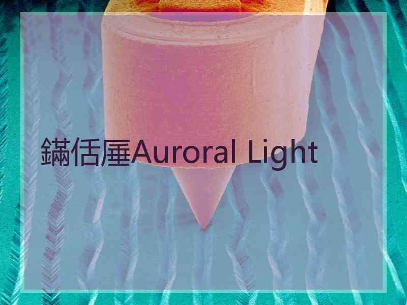 鏋佸厜Auroral Light