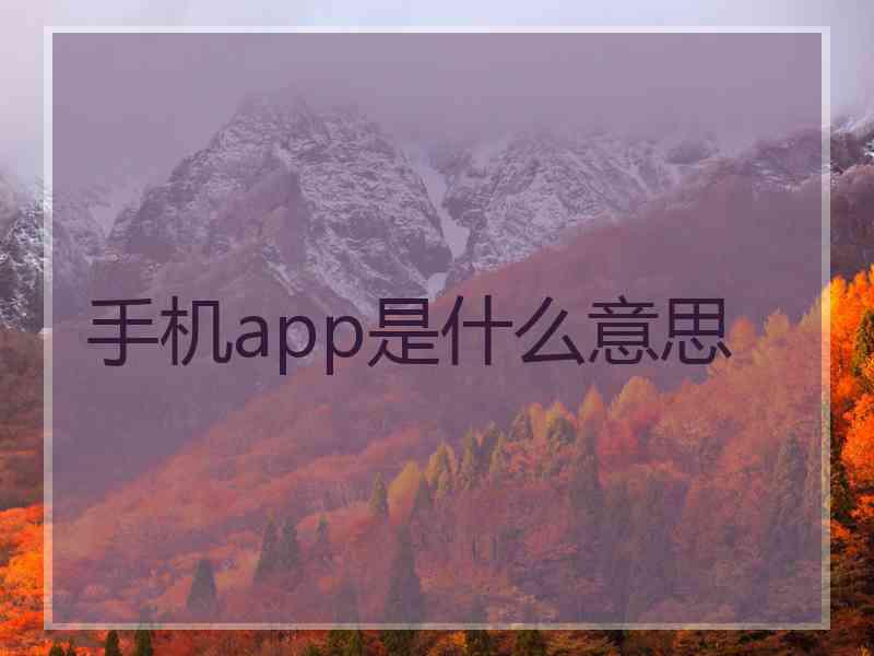 手机app是什么意思