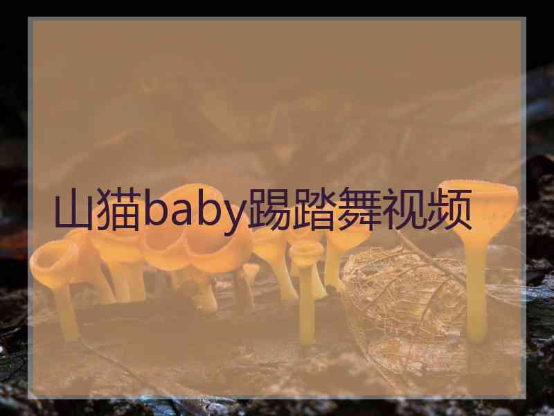 山猫baby踢踏舞视频