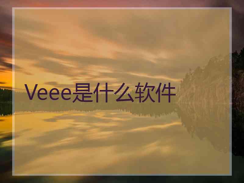 Veee是什么软件