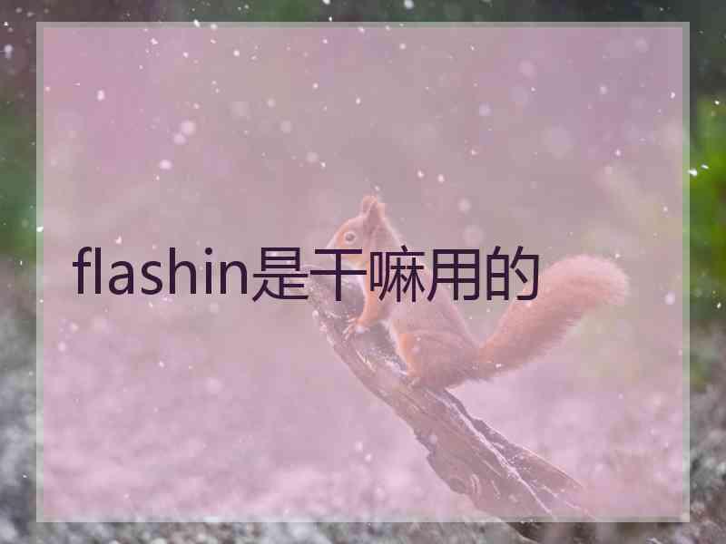 flashin是干嘛用的