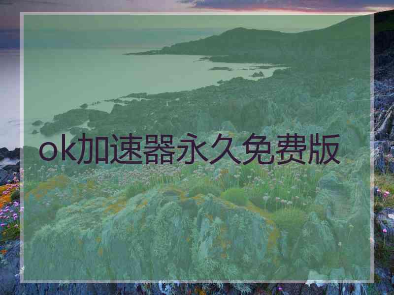 ok加速器永久免费版