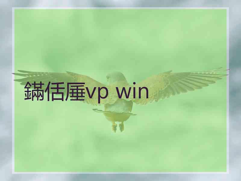 鏋佸厜vp win