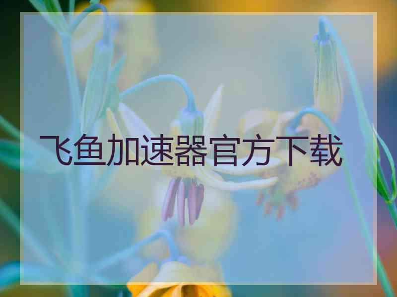 飞鱼加速器官方下载