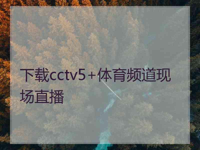 下载cctv5+体育频道现场直播