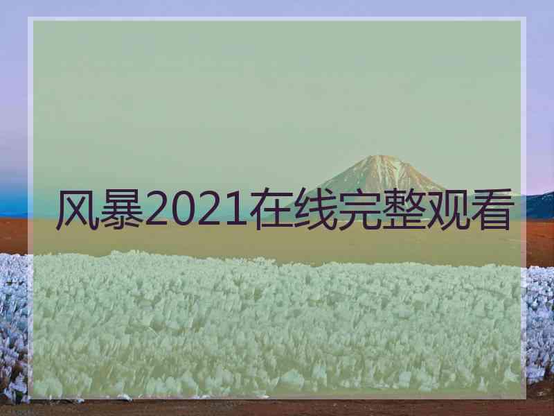 风暴2021在线完整观看